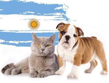 Como viajar para a Argentina com cachorro e gato? Entenda as regras!